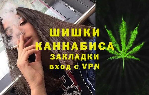 spice Осташков
