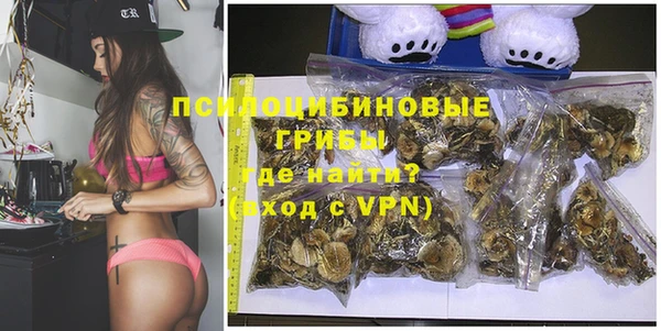 PSILOCYBIN Алзамай