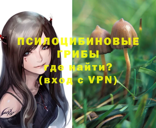 хмурый Осинники